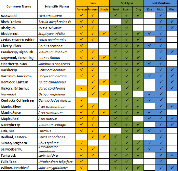 Choosing the Right Tree! ReForest London