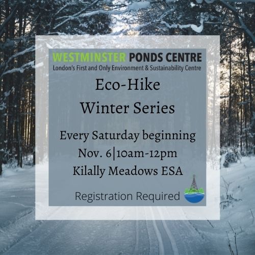 Light Blue square on top of a winter forest background with description Eco-Hike Winter Series Weekly on Saturdays 10am-12pm at Kilally Meadows
