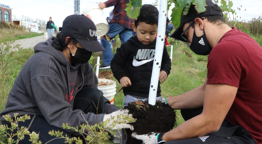 Family planting